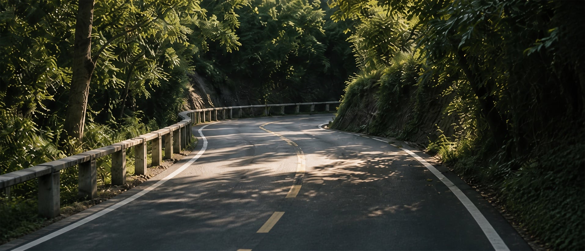 阳光穿过树林,照在弯曲的骑行道路上